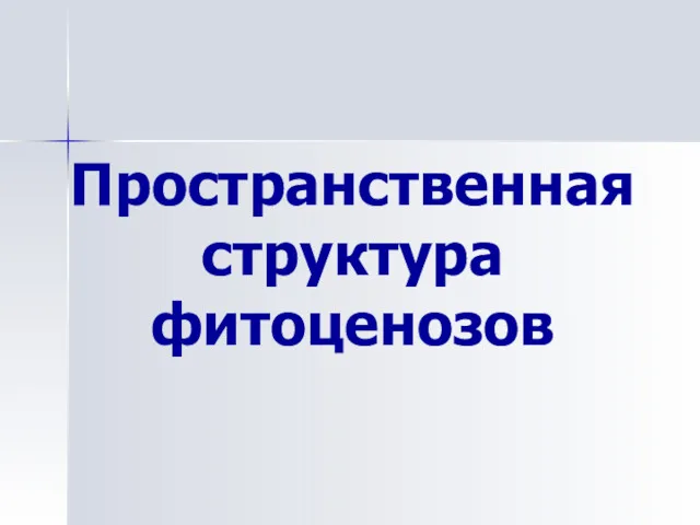 Пространственная структура фитоценозов