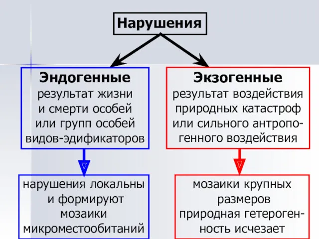 Нарушения Эндогенные результат жизни и смерти особей или групп особей видов-эдификаторов нарушения локальны