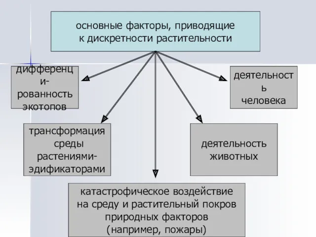 основные факторы, приводящие к дискретности растительности дифференци- рованность экотопов трансформация среды растениями- эдификаторами