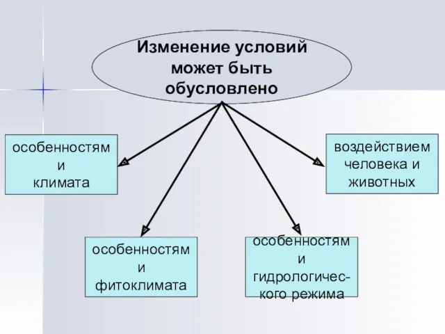 Изменение условий может быть обусловлено особенностями климата особенностями фитоклимата особенностями