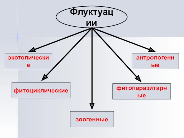 Флуктуации экотопические фитоциклические зоогенные фитопаразитарные антропогенные