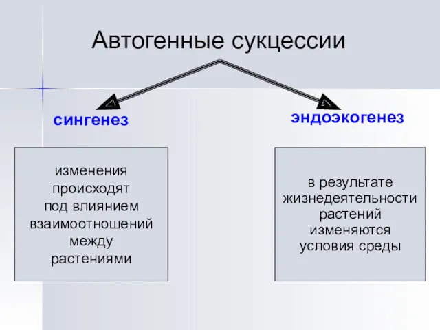 Автогенные сукцессии сингенез эндоэкогенез изменения происходят под влиянием взаимоотношений между