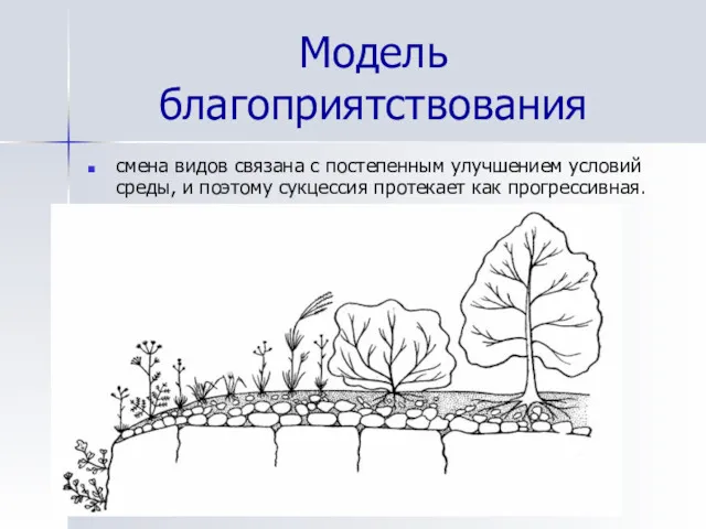 Модель благоприятствования смена видов связана с постепенным улучшением условий среды, и поэтому сукцессия протекает как прогрессивная.