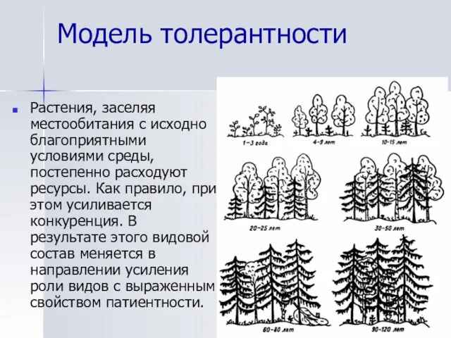 Модель толерантности Растения, заселяя местообитания с исходно благоприятными условиями среды,