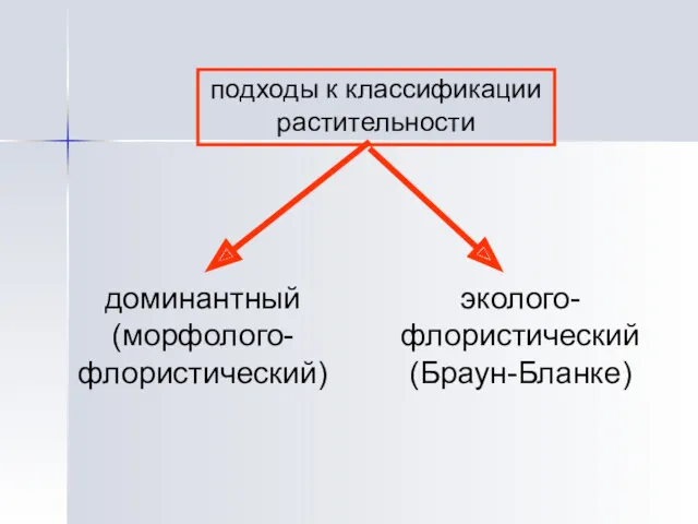 подходы к классификации растительности доминантный (морфолого- флористический) эколого- флористический (Браун-Бланке)