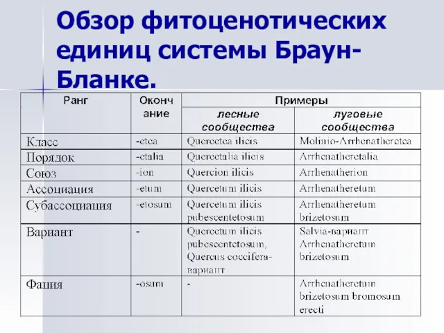 Обзор фитоценотических единиц системы Браун-Бланке.