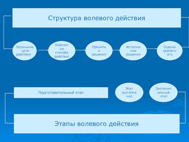 Структура волевого действия Осознание способа действия Принятие решения Исполнение решения