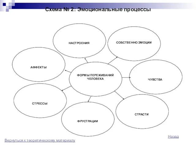 Схема № 2: Эмоциональные процессы Назад Вернуться к теоретическому материалу