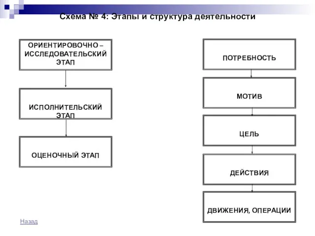 Схема № 4: Этапы и структура деятельности Назад