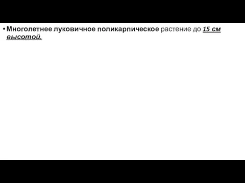 Многолетнее луковичное поликарпическое растение до 15 см высотой.