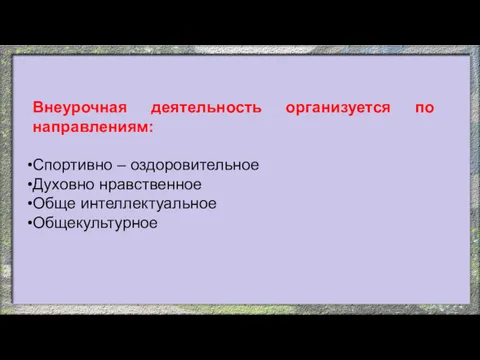 Внеурочная деятельность организуется по направлениям: Спортивно – оздоровительное Духовно нравственное Обще интеллектуальное Общекультурное