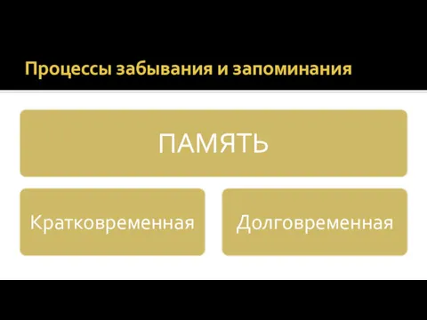 Процессы забывания и запоминания