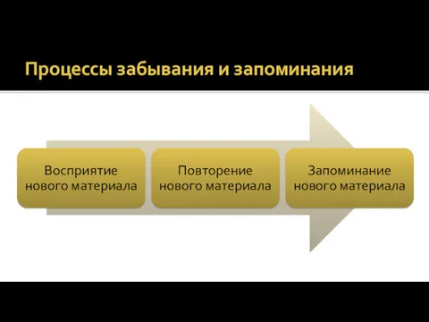 Процессы забывания и запоминания