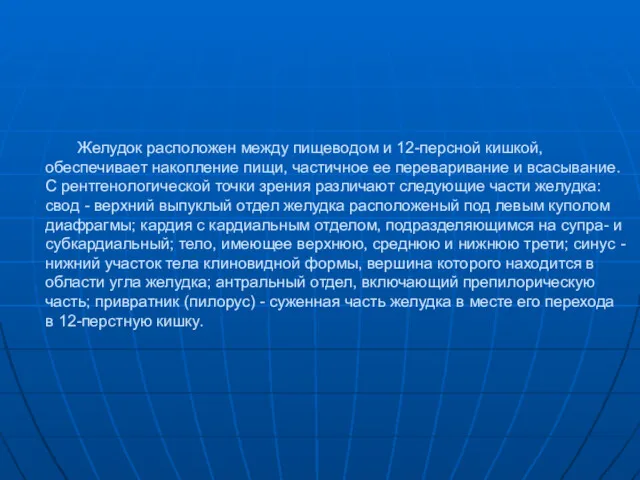 Желудок расположен между пищеводом и 12-персной кишкой, обеспечивает накопление пищи,