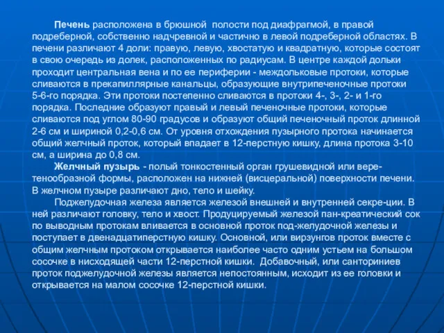 Печень расположена в брюшной полости под диафрагмой, в правой подреберной,