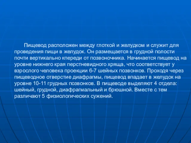 Пищевод расположен между глоткой и желудком и служит для проведения