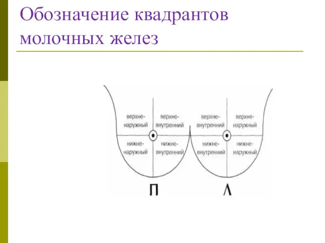 Обозначение квадрантов молочных желез