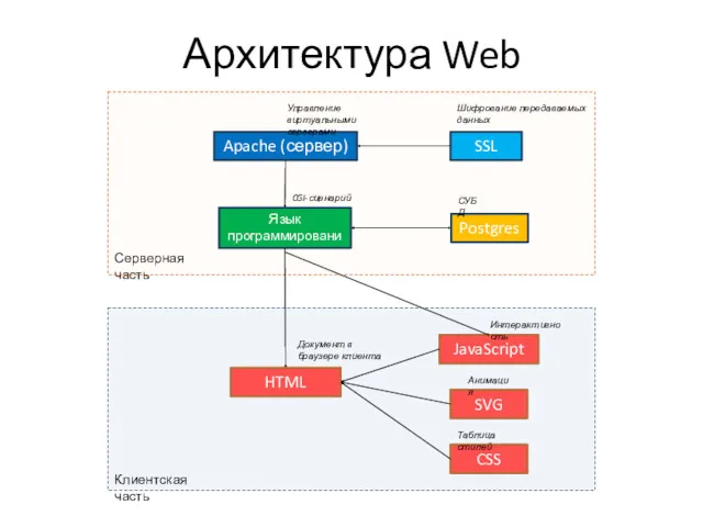 Клиентская часть Серверная часть Язык программирования Архитектура Web Apache (сервер)