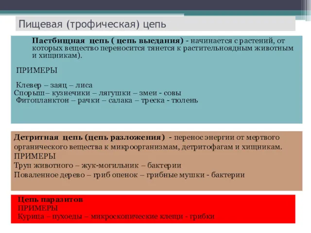 Пищевая (трофическая) цепь Цепь паразитов ПРИМЕРЫ Курица – пухоеды –