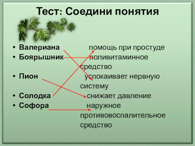 Тест: Соедини понятия Валериана помощь при простуде Боярышник поливитаминное средство