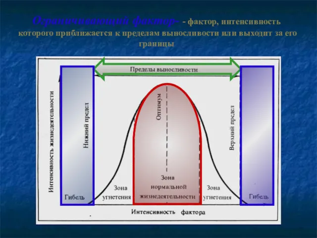 Ограничивающий фактор- - фактор, интенсивность которого приближается к пределам выносливости или выходит за его границы