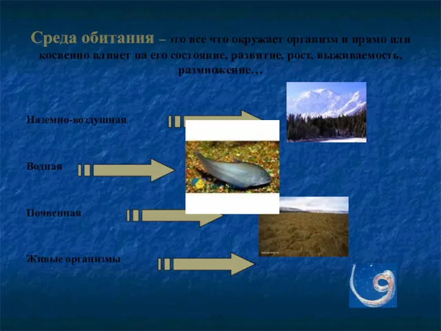 Среда обитания – это все что окружает организм и прямо