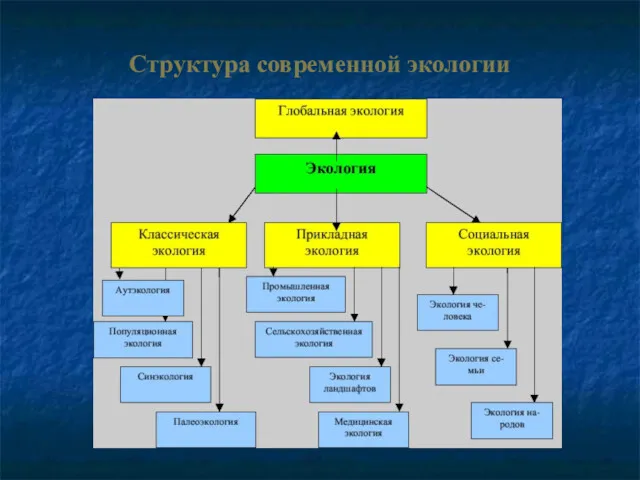 Структура современной экологии