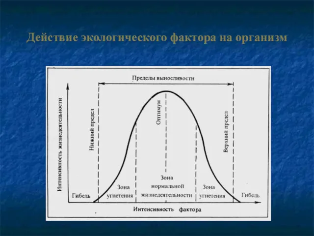 Действие экологического фактора на организм