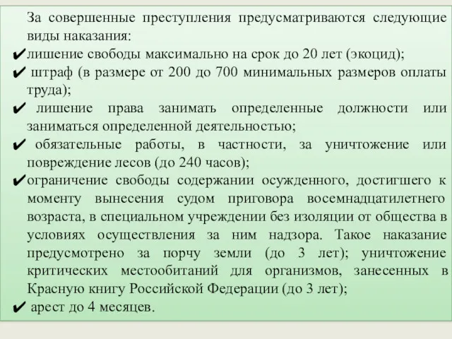 За совершенные преступления предусматриваются следующие виды наказания: лишение свободы максимально