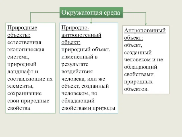 Окружающая среда Природные объекты: естественная экологическая система, природный ландшафт и