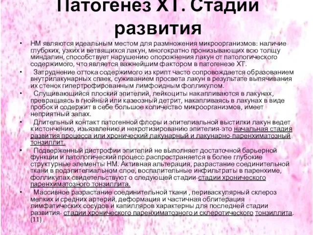 Патогенез ХТ. Стадии развития НМ являются идеальным местом для размножения