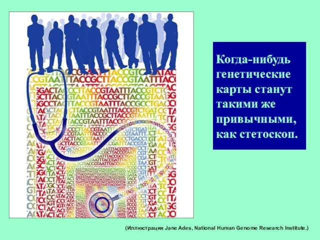 (Иллюстрация Jane Ades, National Human Genome Research Institute.)