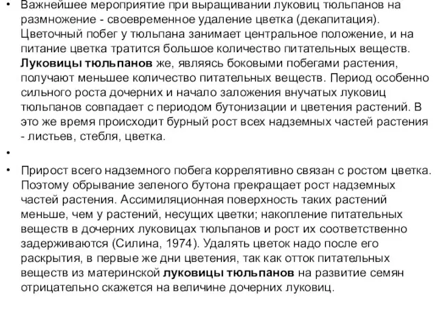 Важнейшее мероприятие при выращивании луковиц тюльпанов на размножение - своевременное