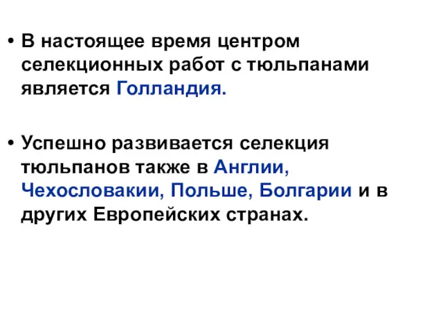 В настоящее время центром селекционных работ с тюльпанами является Голландия.