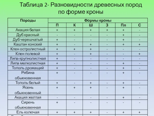 Таблица 2- Разновидности древесных пород по форме кроны