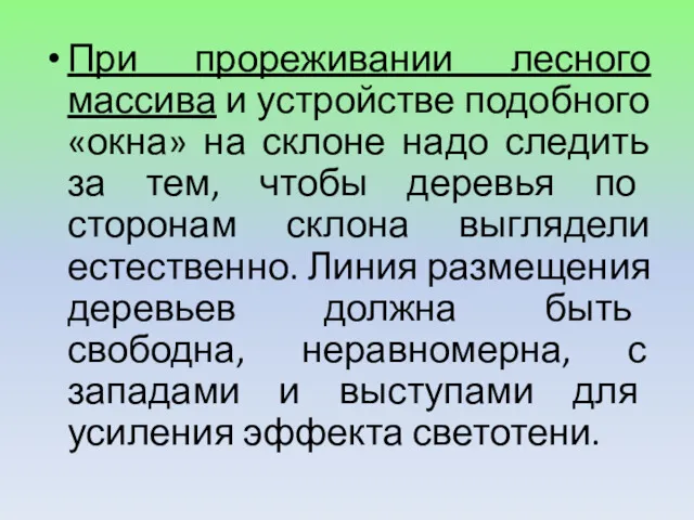 При прореживании лесного массива и устройстве подобного «окна» на склоне надо следить за