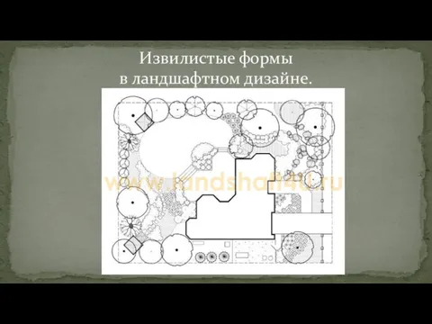 Извилистые формы в ландшафтном дизайне.