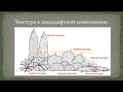 Текстура в ландшафтной композиции.