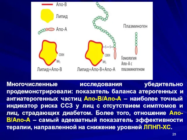 Многочисленные исследования убедительно продемонстрировали: показатель баланса атерогенных и антиатерогенных частиц