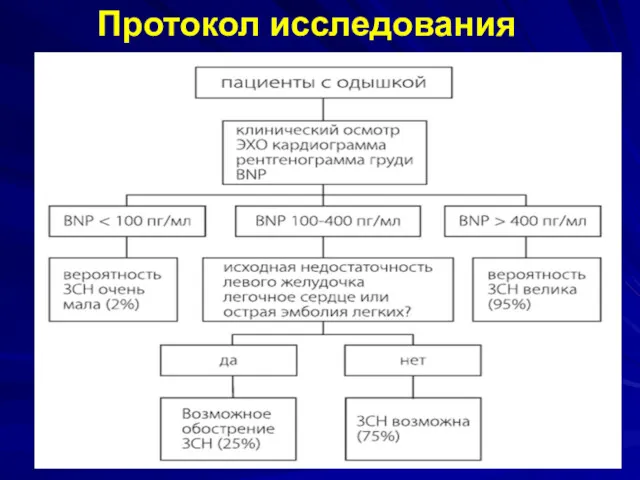 Протокол исследования