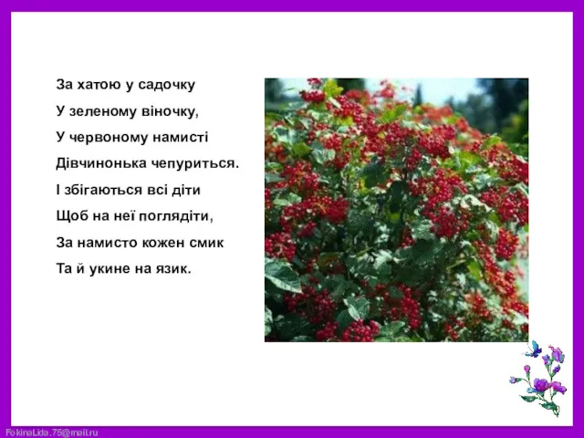 За хатою у садочку У зеленому віночку, У червоному намисті