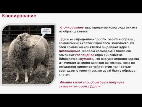 Клонирование А чего добился ты? Клонирование- выращивание нового организма из