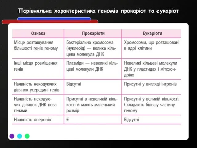 Порівняльна характеристика геномів прокаріот та еукаріот