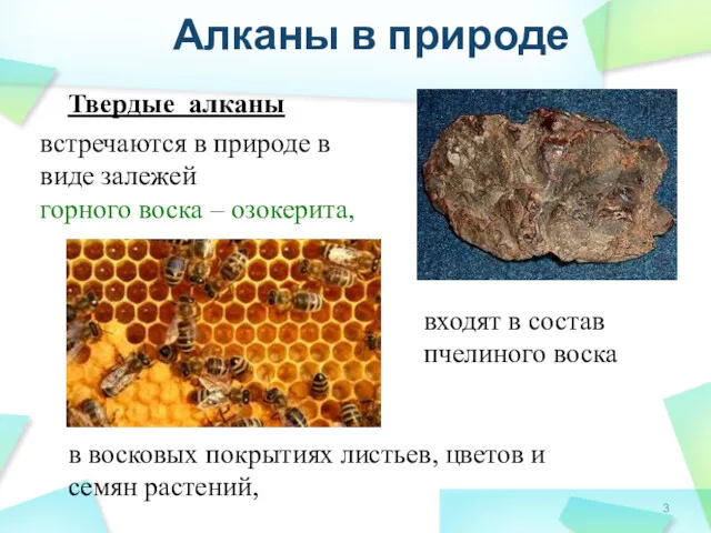 в восковых покрытиях листьев, цветов и семян растений, входят в