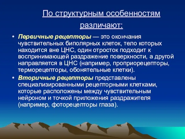 По структурным особенностям различают: Первичные рецепторы — это окончания чувствительных