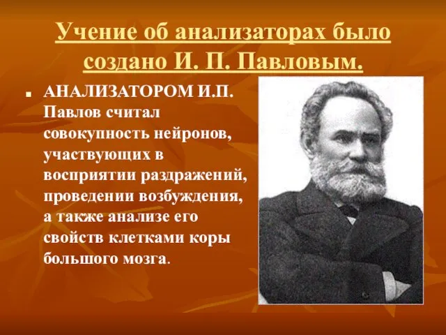 Учение об анализаторах было создано И. П. Павловым. АНАЛИЗАТОРОМ И.П.Павлов