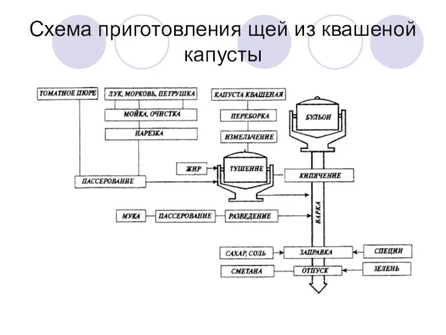 Схема приготовления щей из квашеной капусты