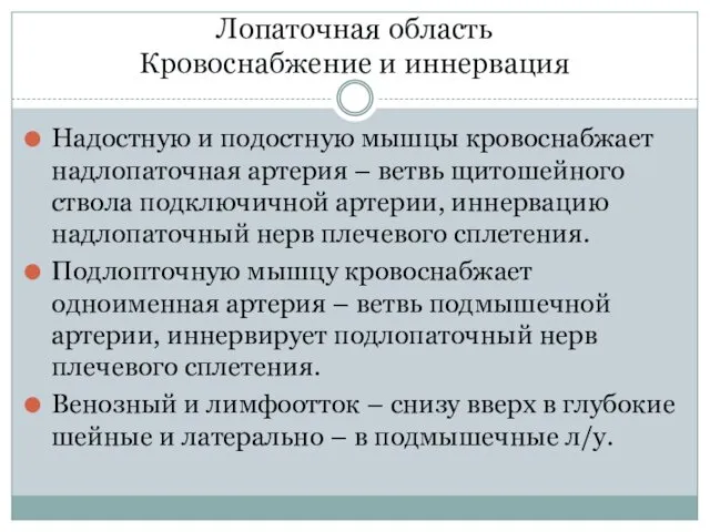 Лопаточная область Кровоснабжение и иннервация Надостную и подостную мышцы кровоснабжает