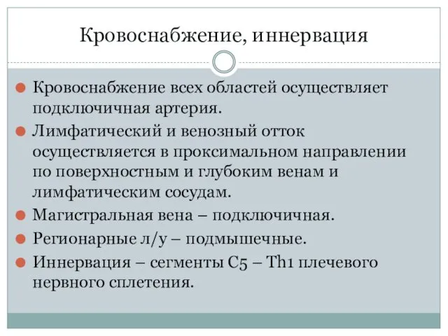 Кровоснабжение, иннервация Кровоснабжение всех областей осуществляет подключичная артерия. Лимфатический и