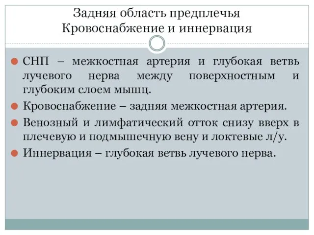 Задняя область предплечья Кровоснабжение и иннервация СНП – межкостная артерия